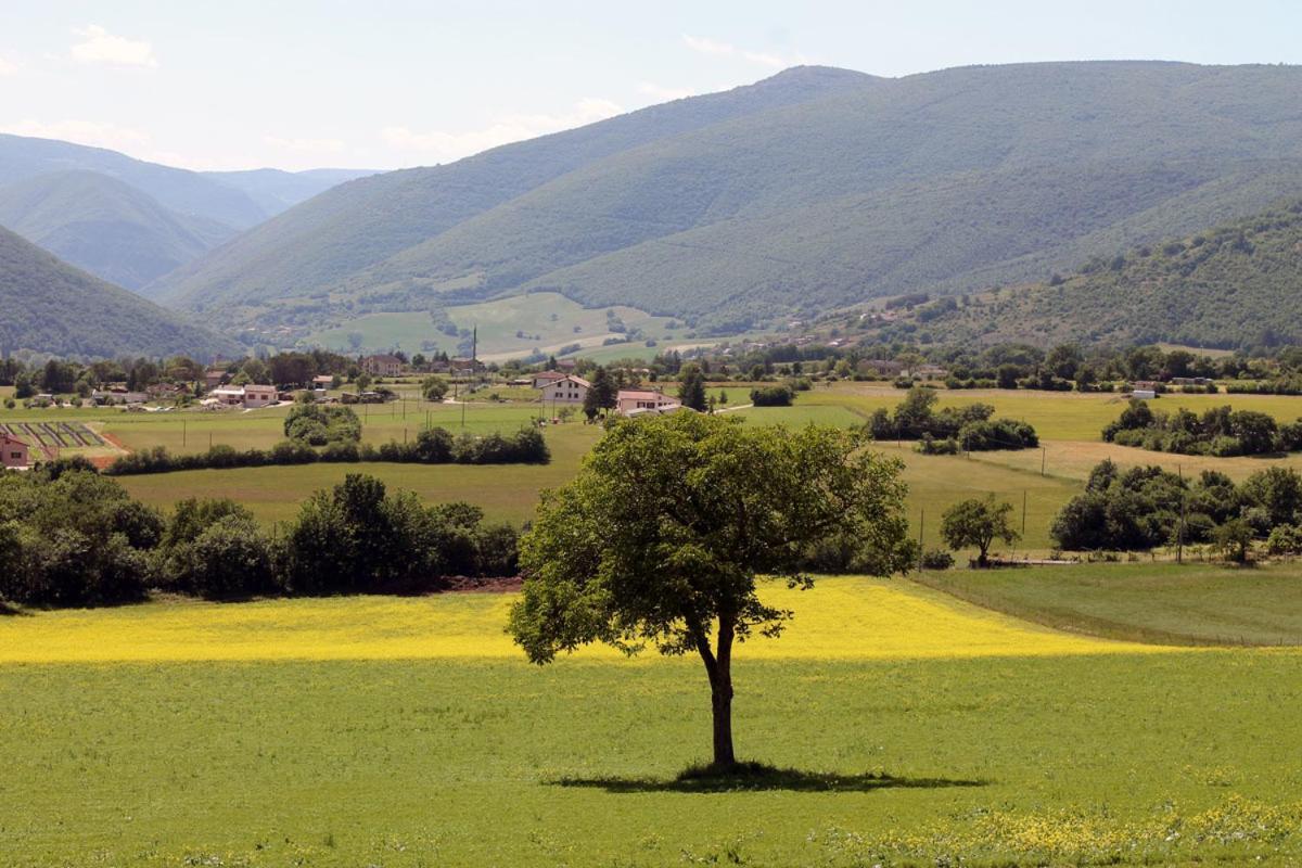 Agriturismo Il Casale Degli Amici 노르시아 외부 사진