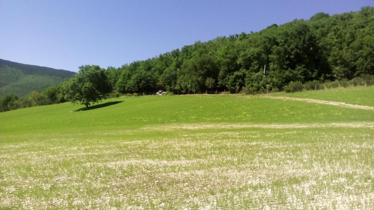 Agriturismo Il Casale Degli Amici 노르시아 외부 사진