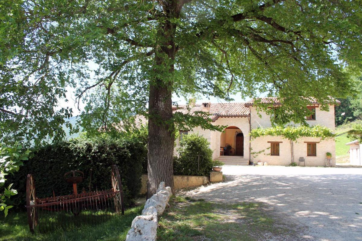 Agriturismo Il Casale Degli Amici 노르시아 외부 사진